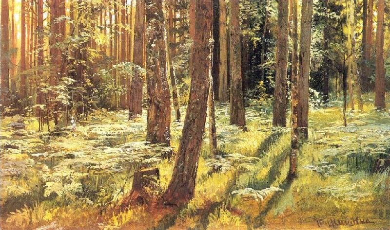Ivan Shishkin Ferns in a Forest Norge oil painting art